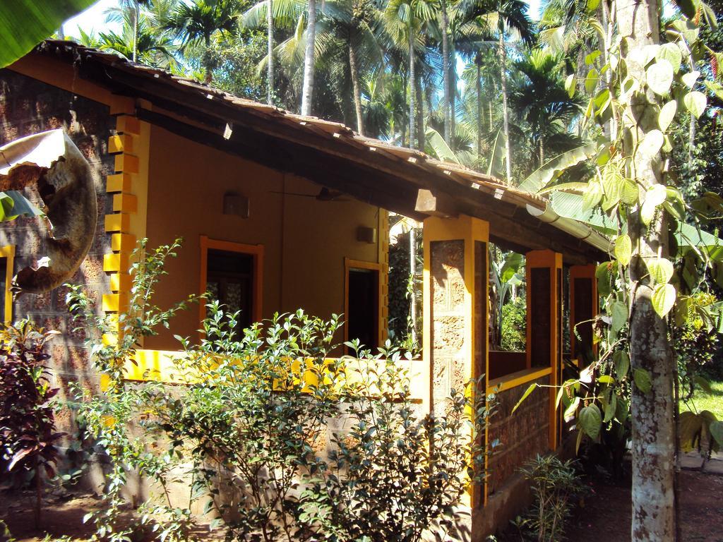 Dudhsagar Plantation Cormonem Exterior foto