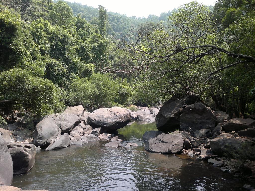 Dudhsagar Plantation Cormonem Exterior foto