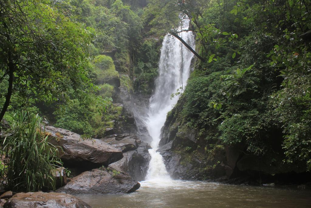 Dudhsagar Plantation Cormonem Exterior foto