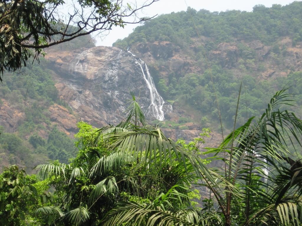 Dudhsagar Plantation Cormonem Exterior foto
