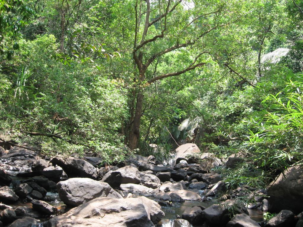Dudhsagar Plantation Cormonem Exterior foto
