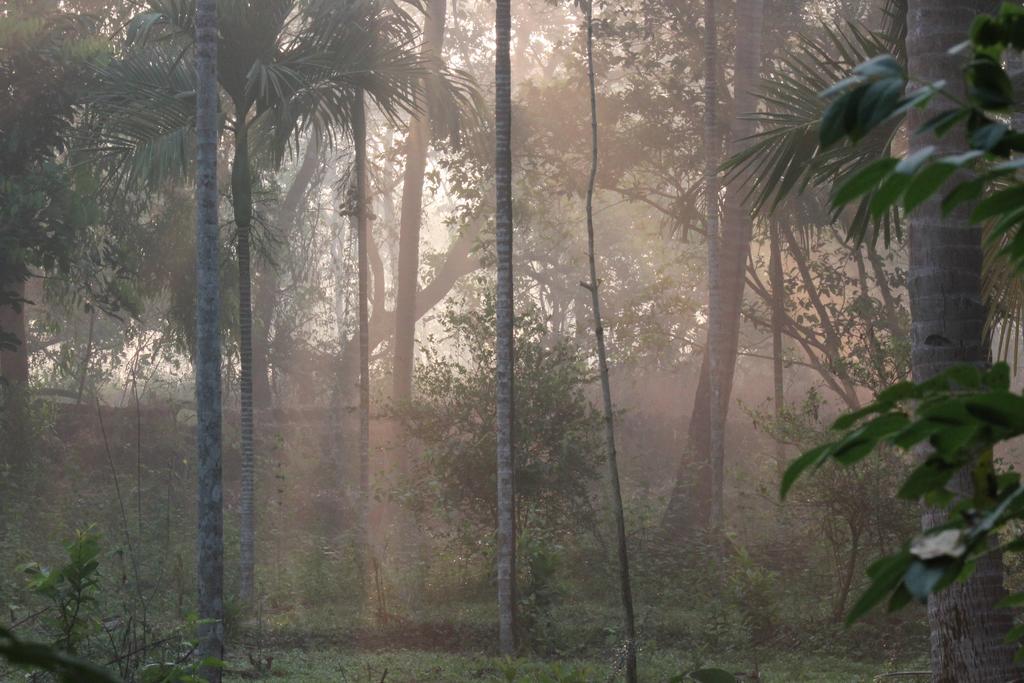 Dudhsagar Plantation Cormonem Exterior foto