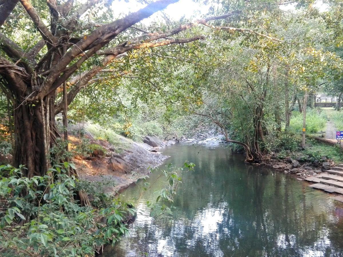 Dudhsagar Plantation Cormonem Exterior foto